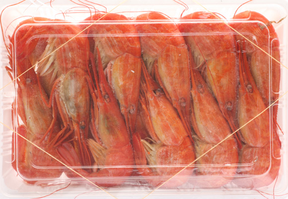 �k�C���Y�{�^���G�r