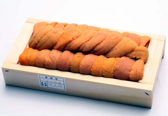 �����Y�E�j