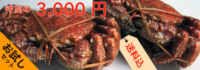 お試し毛蟹セット