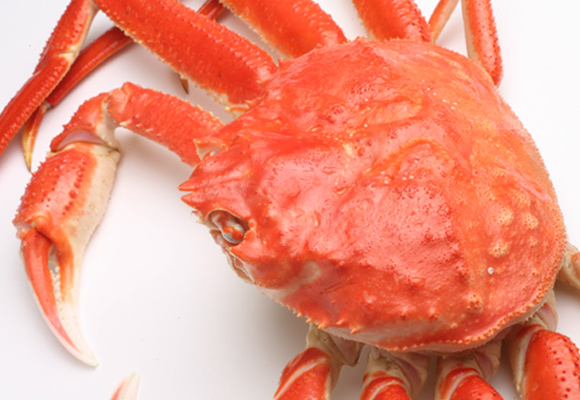 �Y���C�K�j�Q